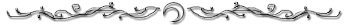 cl_w.gif