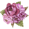 731301774.gif