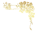 55.gif