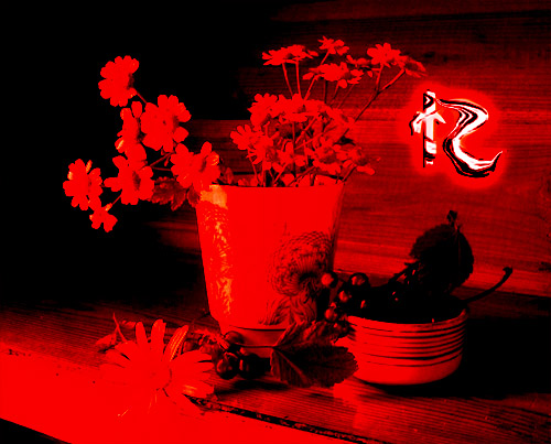20080610_7673987c96986e173d3cjbAnM7HOhCnb.jpg