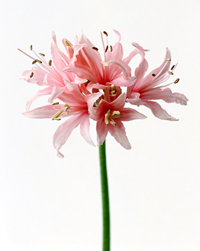 w1.jpg