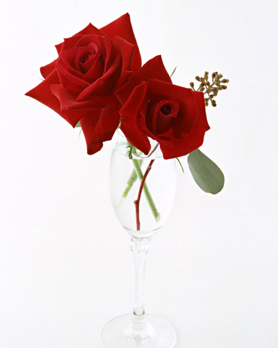 w6.jpg