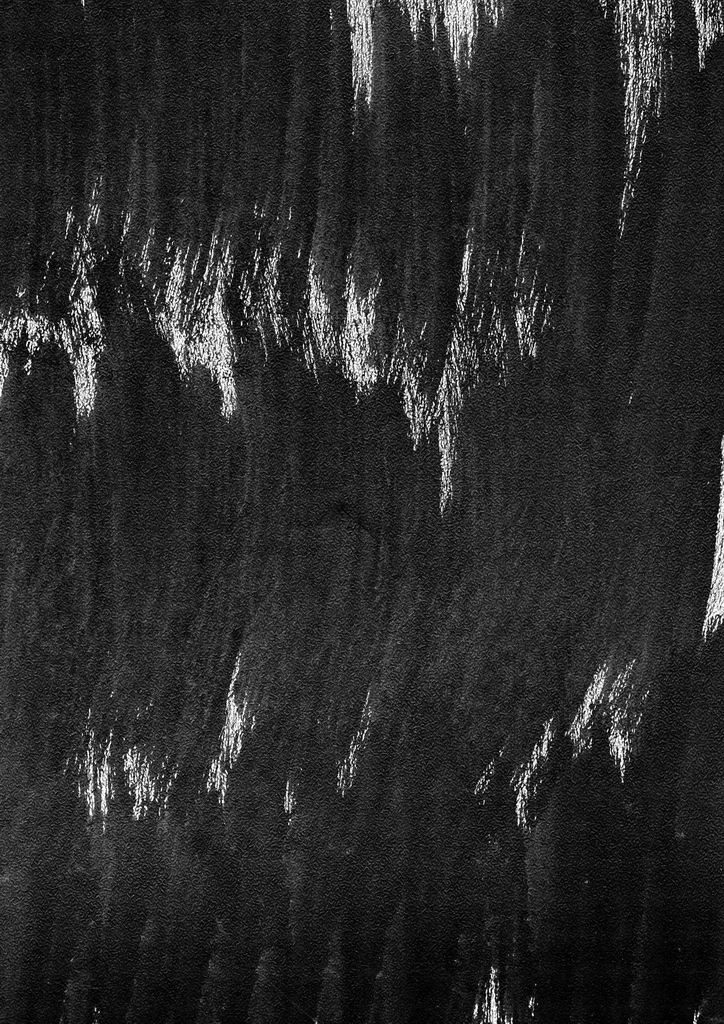 20090209002600_13649.jpg