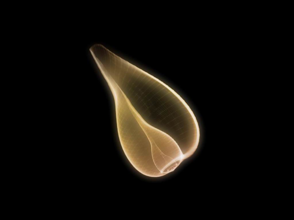 2006110920205873259.jpg