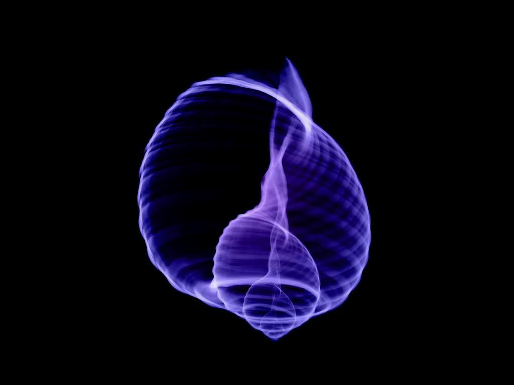 2006110920210673266.jpg