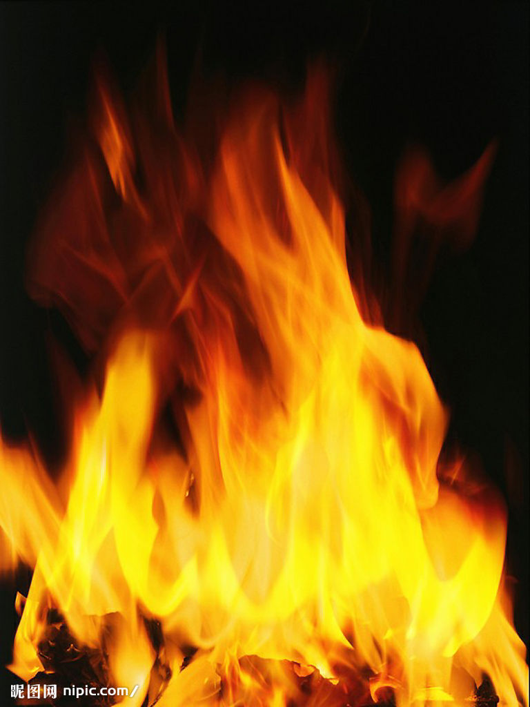 20085993559473_2.jpg