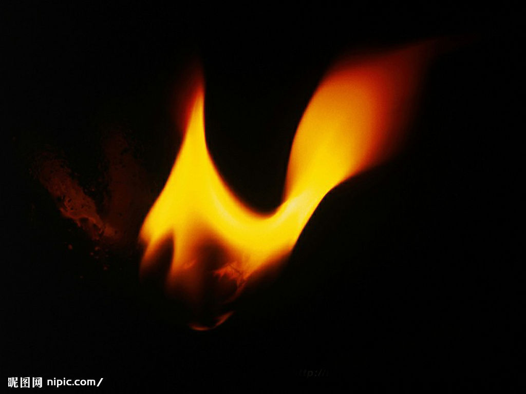 20085992730461_2.jpg