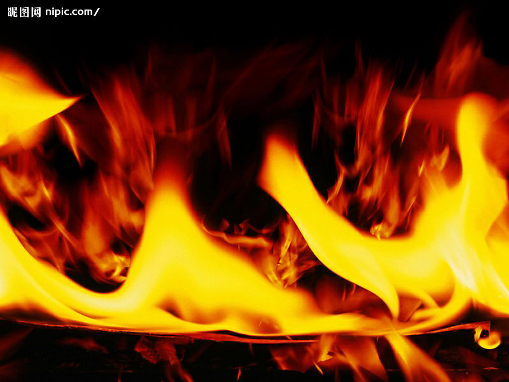 20085993022179_2.jpg