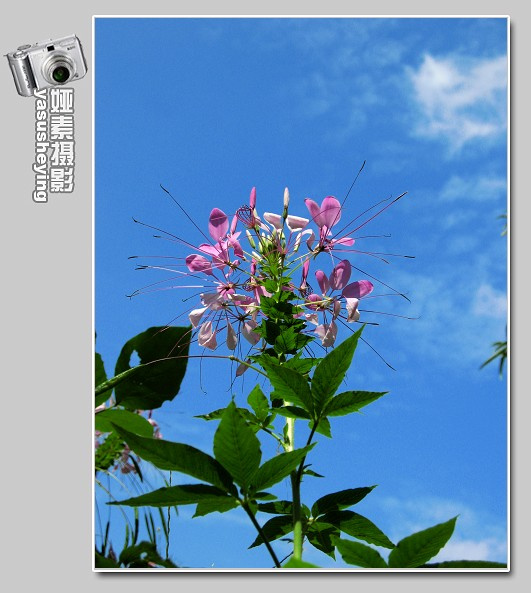 20080730_6fe3af417563852cb03cqqWRYh5reqNJ.jpg