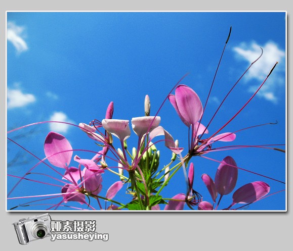 20080730_fadd444d215af7f72854CfuyMrGILqM7.jpg
