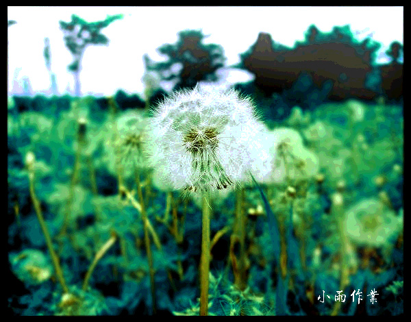 0904191848dd7a9637461272f3����.jpg