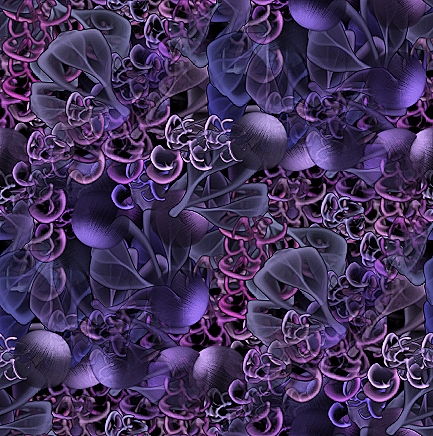 9e41ffh8.jpg