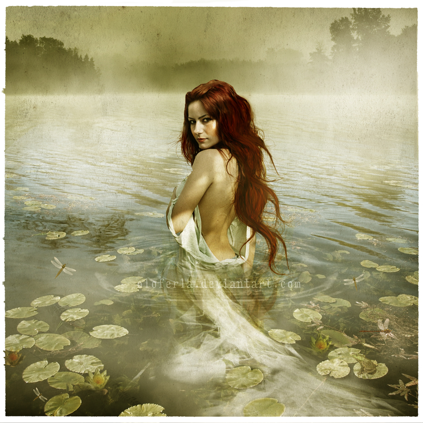 20080821_8a64541eb4c7e2d28d8bwHWuBK7RnCWv.jpg
