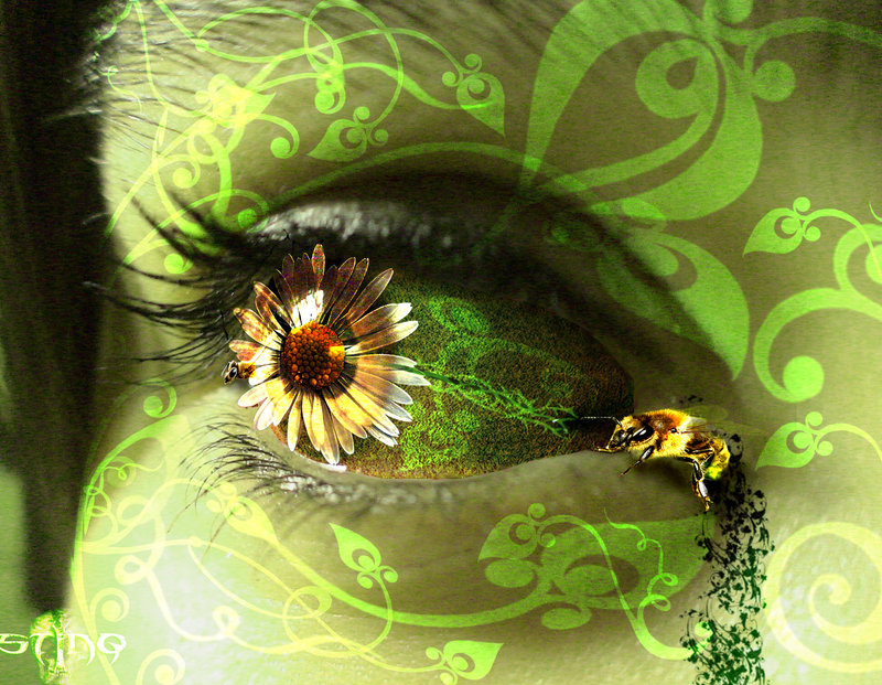 aiimg_Eyes11.jpg