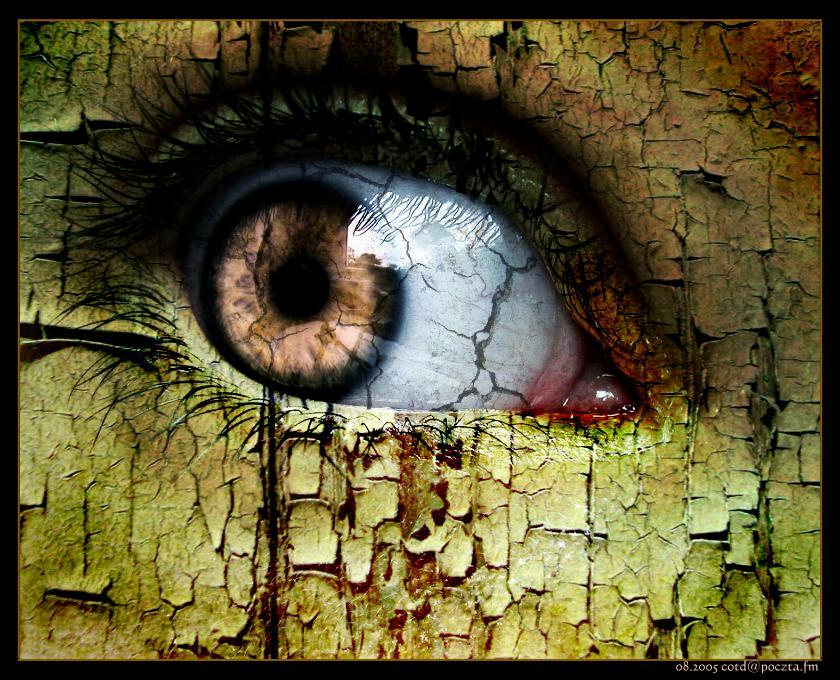 aiimg_Eyes15.jpg