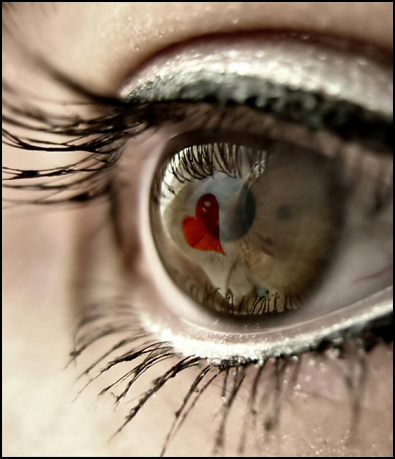 aiimg_Eyes28.jpg