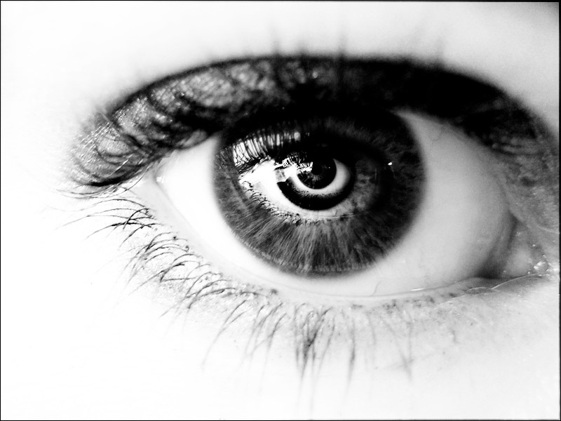 aiimg_Eyes37.jpg
