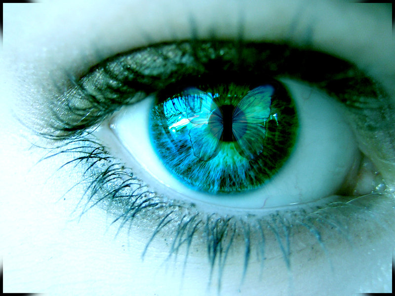 aiimg_Eyes40.jpg