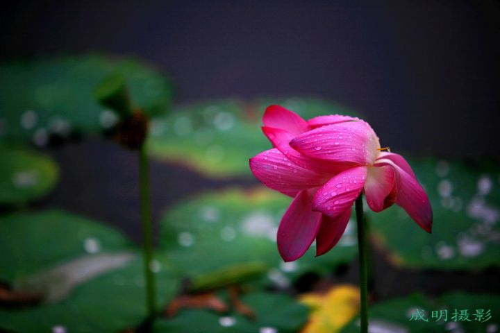 20088516413474154.jpg