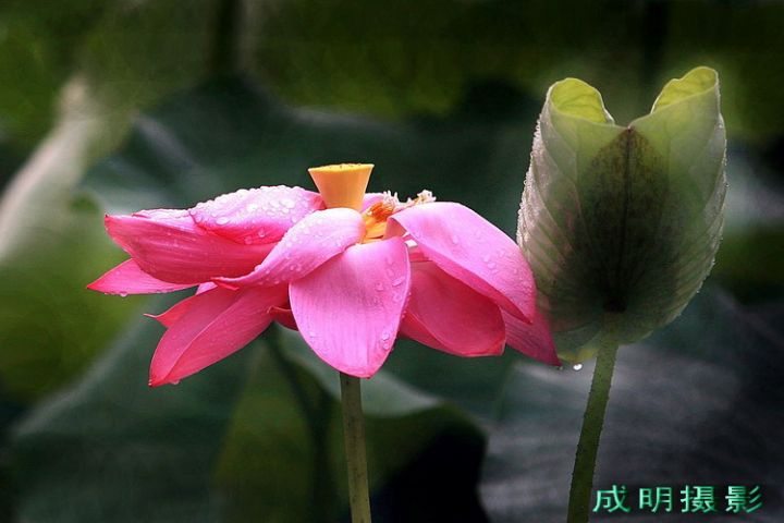 20088516413449802.jpg