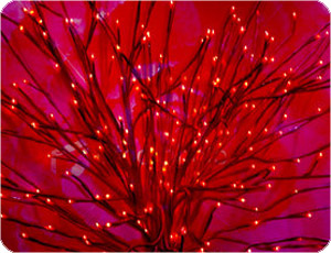 color8 (12).jpg