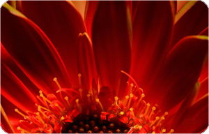 color8 (16).jpg