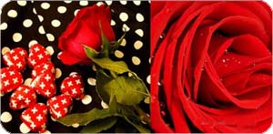 color8 (19).jpg