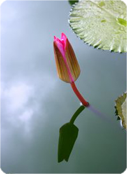 color8 (396).jpg