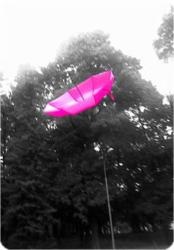 color8 (399).jpg