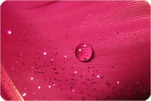 color8 (398).jpg