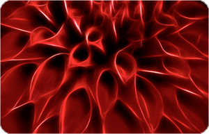 color8 (29).jpg