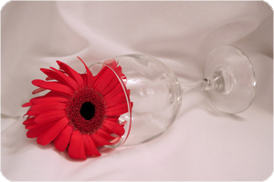 color8 (26).jpg
