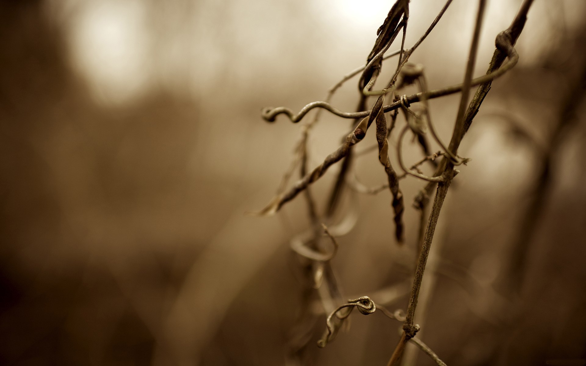 A000950.jpg