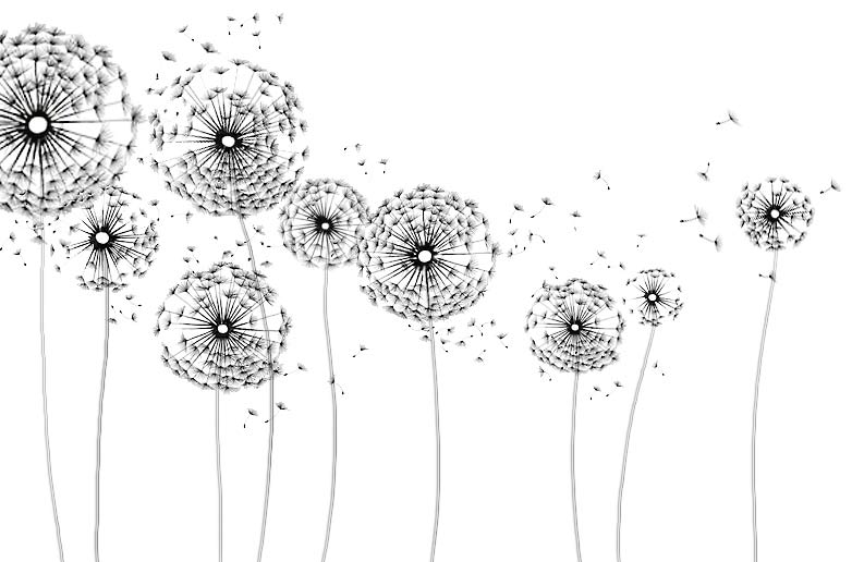 bg-index.jpg
