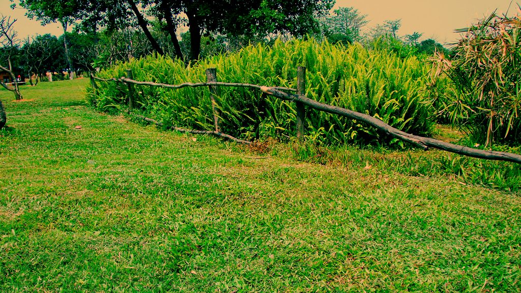 DSC02578-���˾�.jpg