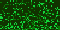 38.gif