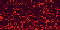 31.gif