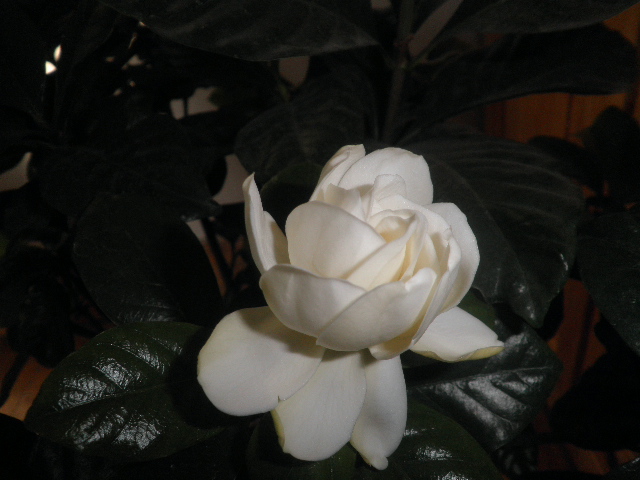 P1250205.JPG