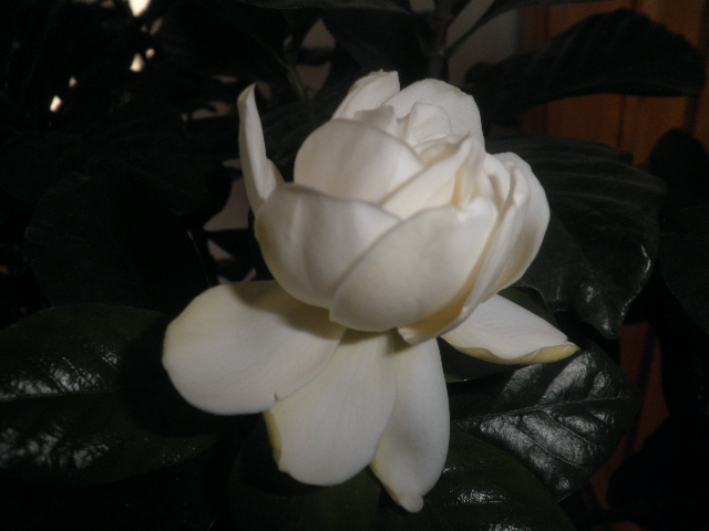 P1250204.JPG