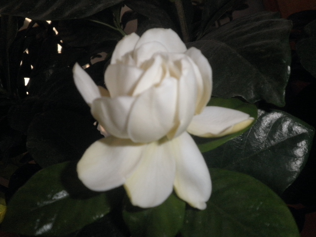P1250211.JPG