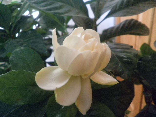 P1250206.JPG