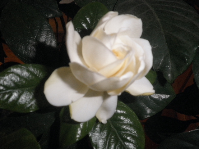 P1250209.JPG