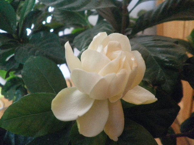 P1250207.JPG