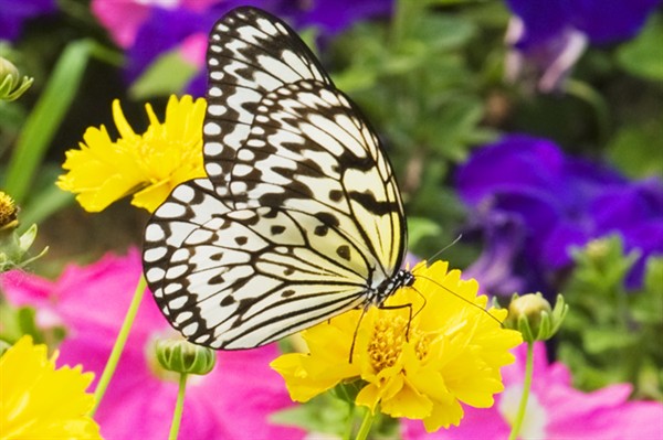 481227_5.jpg