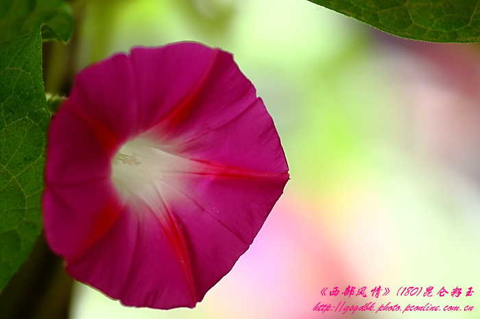 13023124125644940_mthumb.jpg