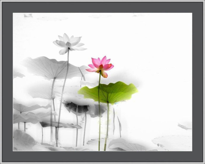60d27f6dt767a84aaed3c&690.jpg