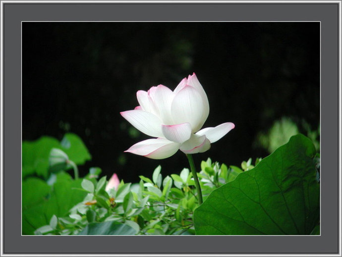 60d27f6dt767a84cb03c4&690.jpg