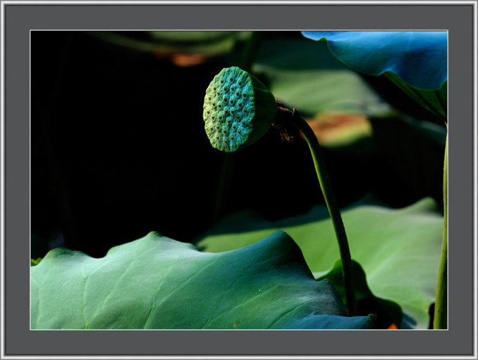 60d27f6dta0c92c280191&690.jpg
