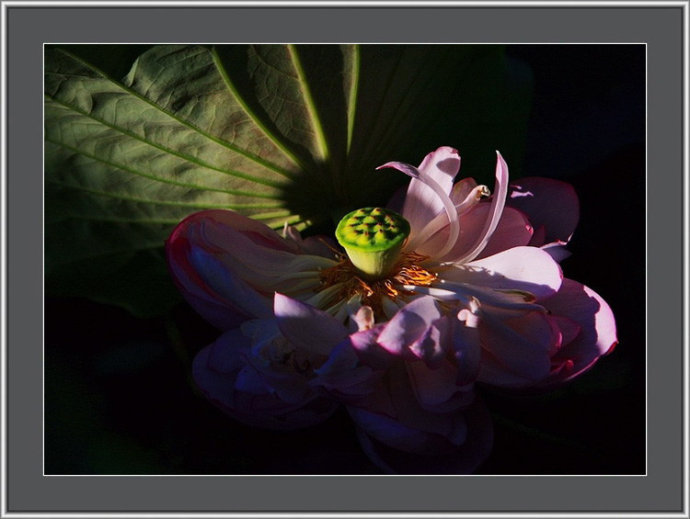 60d27f6dta0c92ebe7e0a&690.jpg