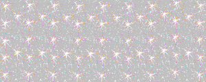 17.gif